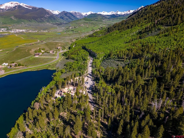 1665 Skyland Dr, Crested Butte, CO 81224