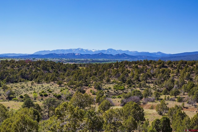 41 Ridge Pl, Durango, CO 81301 - view of mountain background