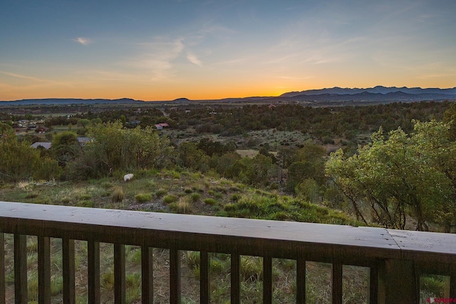41 Ridge Pl, Durango, CO 81301 - mountain view