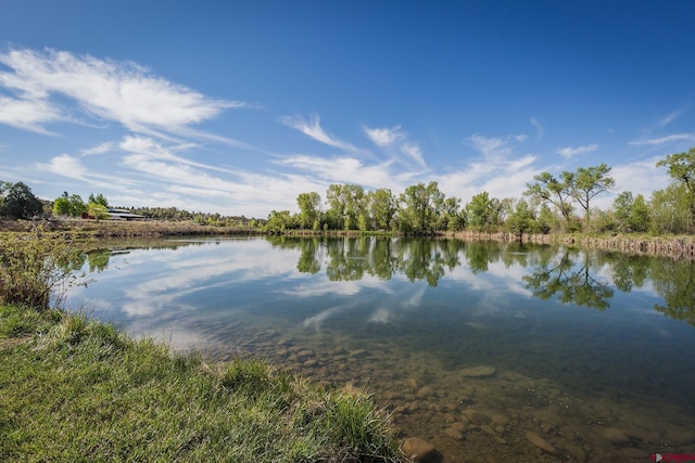 41 Ridge Pl, Durango, CO 81301 - water view