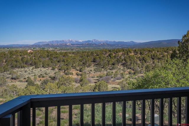 41 Ridge Pl, Durango, CO 81301 - mountain view
