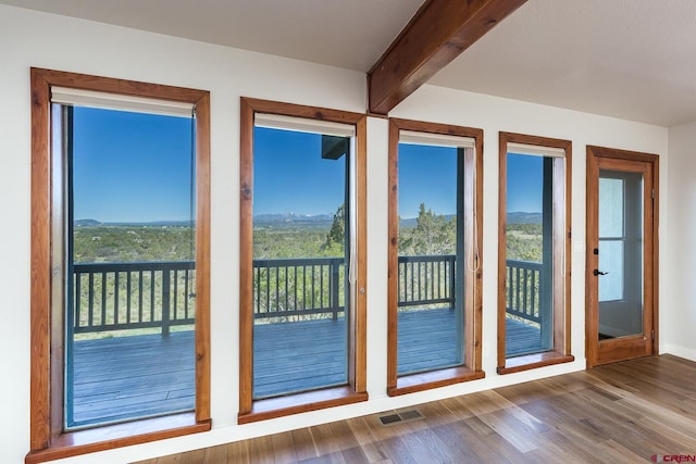 41 Ridge Pl, Durango, CO 81301 - entryway with healthy amount of natural light and wood finished floors