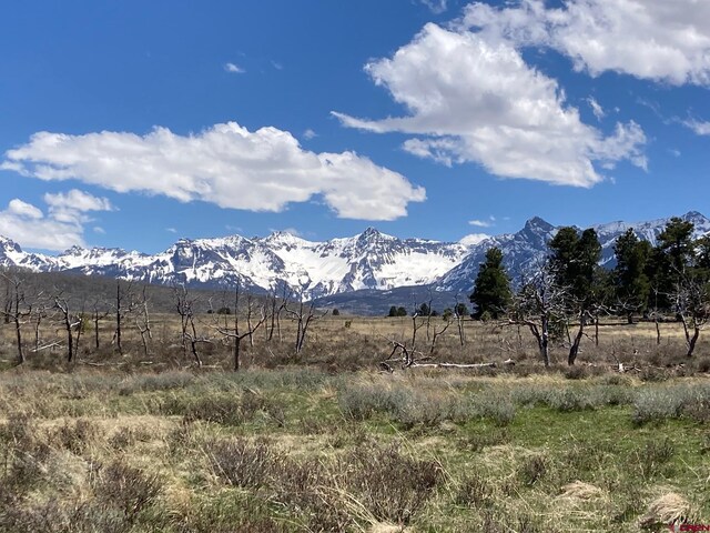 LOT14 62x Rd, Placerville, CO 81430