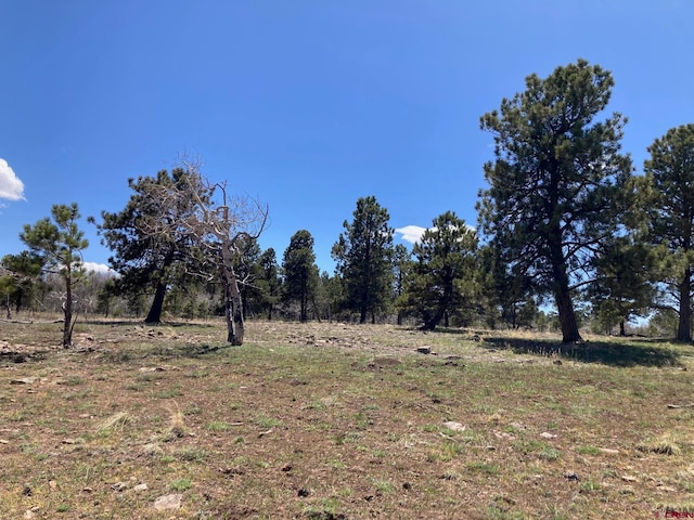 LOT14 62x Rd, Placerville, CO 81430