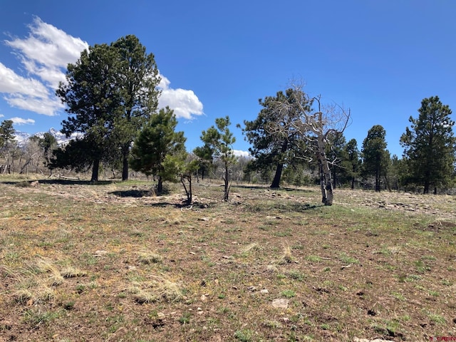 LOT14 62x Rd, Placerville, CO 81430
