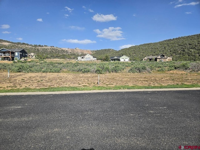 725 SE Pinyon St, Cedaredge, CO 81413