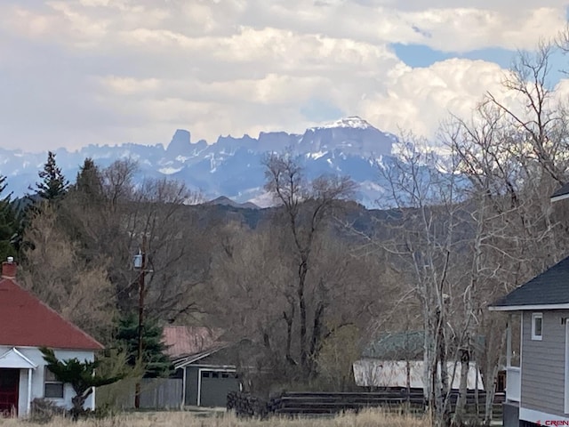 134 S Charlotte St, Ridgway, CO 81432