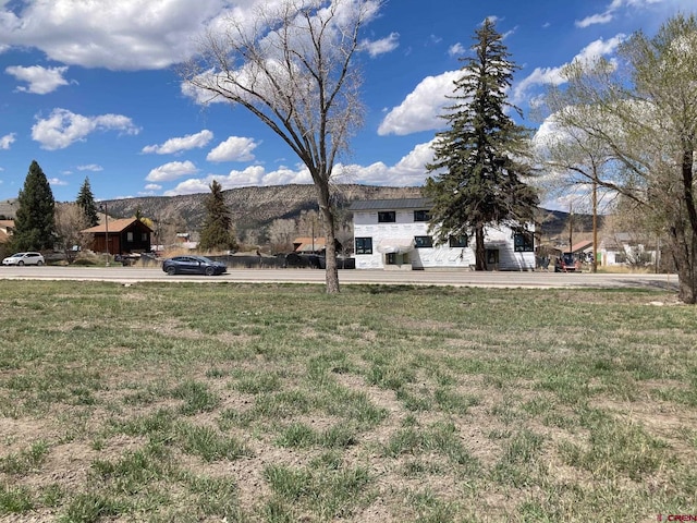 134 S Charlotte St, Ridgway, CO 81432