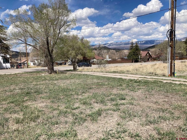 134 S Charlotte St, Ridgway, CO 81432