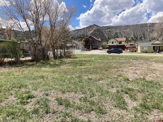 134 S Charlotte St, Ridgway, CO 81432