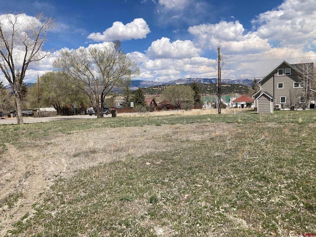 134 S Charlotte St, Ridgway, CO 81432