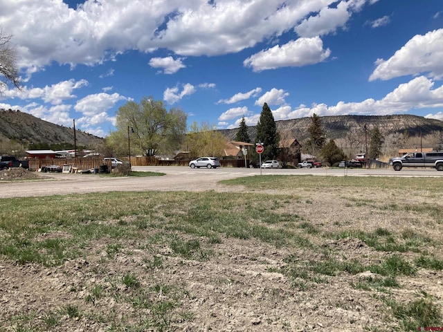 134 S Charlotte St, Ridgway, CO 81432
