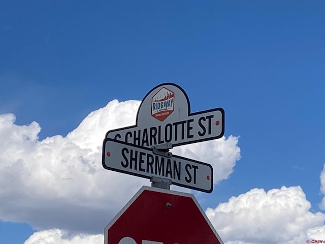 134 S Charlotte St, Ridgway, CO 81432
