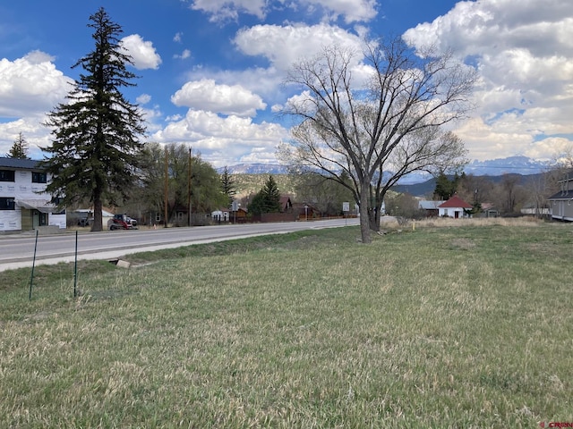 134 S Charlotte St, Ridgway, CO 81432
