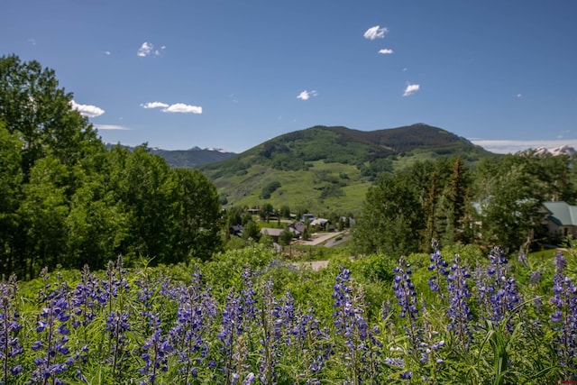 92 Anthracite Rd, Mount Crested Butte, CO 81225