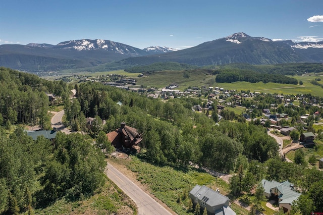 92 Anthracite Rd, Mount Crested Butte, CO 81225