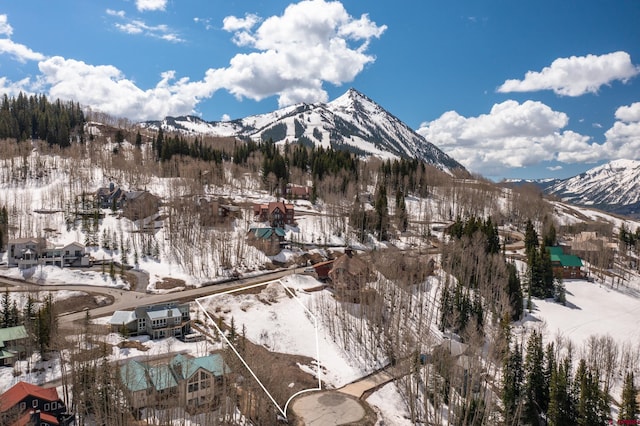 92 Anthracite Rd, Mount Crested Butte, CO 81225
