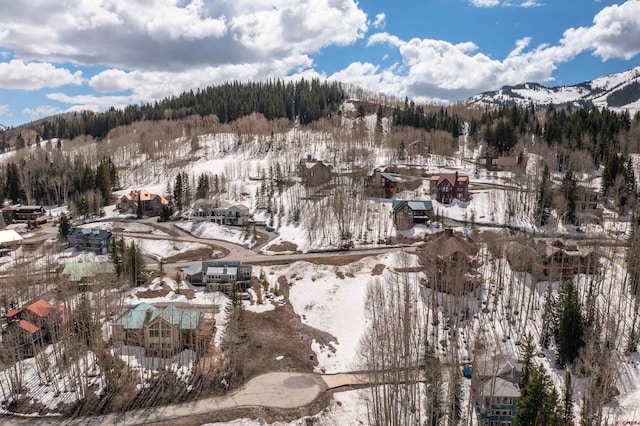 92 Anthracite Rd, Mount Crested Butte, CO 81225