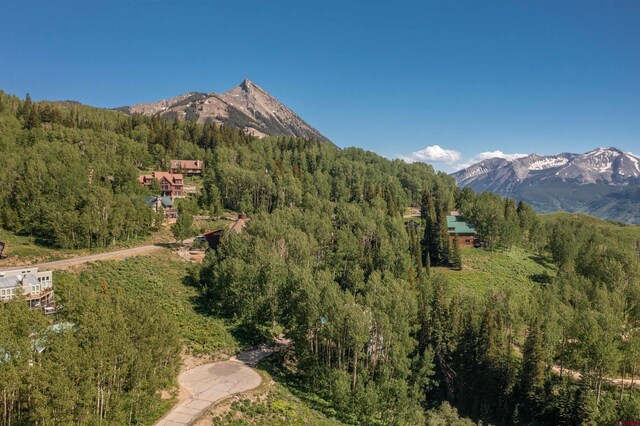 92 Anthracite Rd, Mount Crested Butte, CO 81225