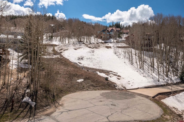 92 Anthracite Rd, Mount Crested Butte, CO 81225