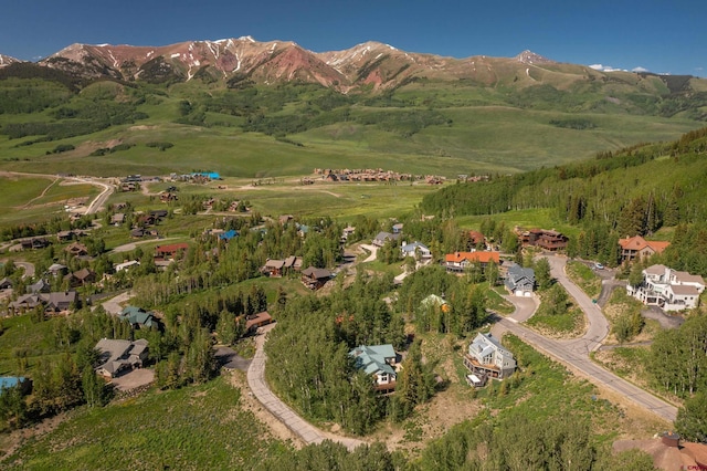 92 Anthracite Rd, Mount Crested Butte, CO 81225