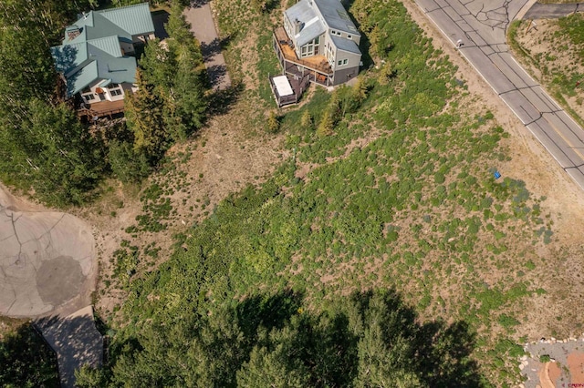 92 Anthracite Rd, Mount Crested Butte, CO 81225