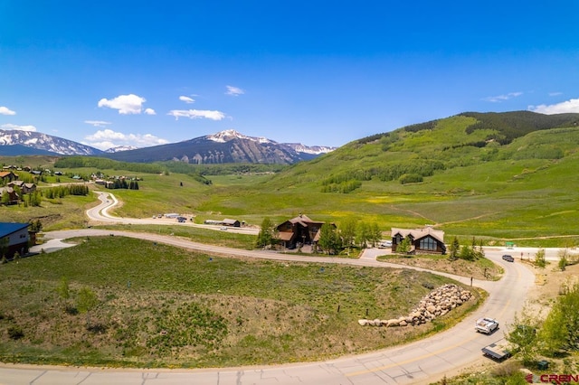 2 Lapis Ln, Mount Crested Butte, CO 81225