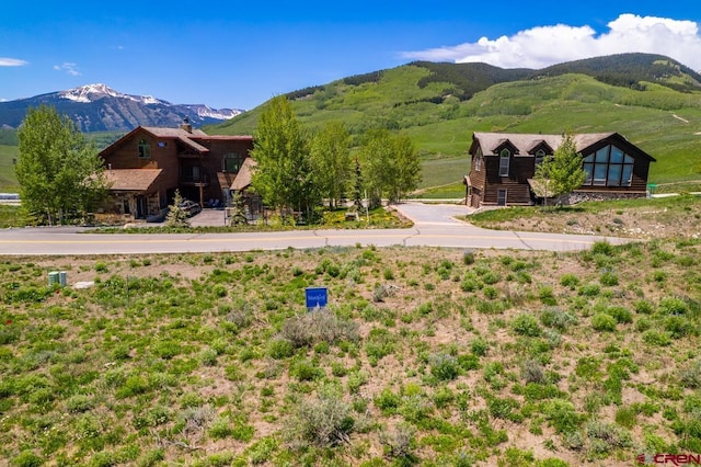 2 Lapis Ln, Mount Crested Butte, CO 81225