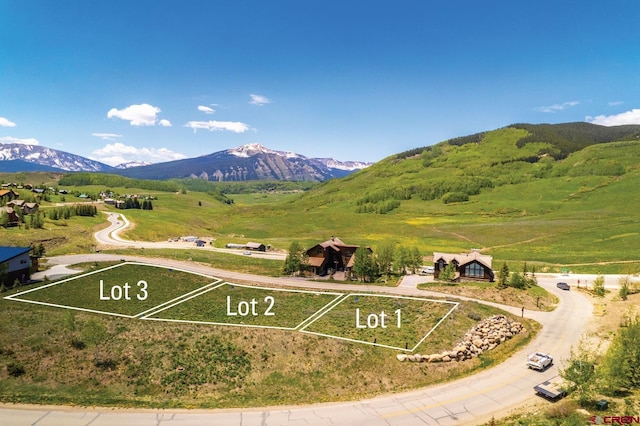 2 Lapis Ln, Mount Crested Butte, CO 81225