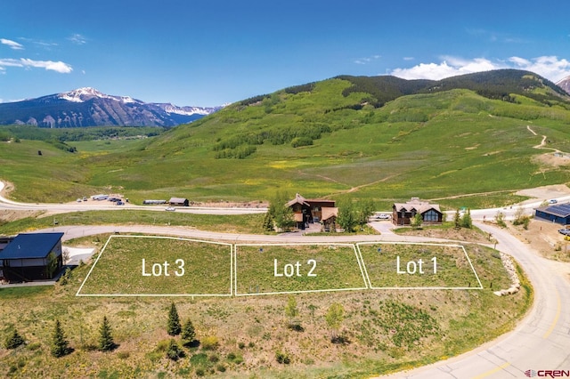 2 Lapis Ln, Mount Crested Butte, CO 81225