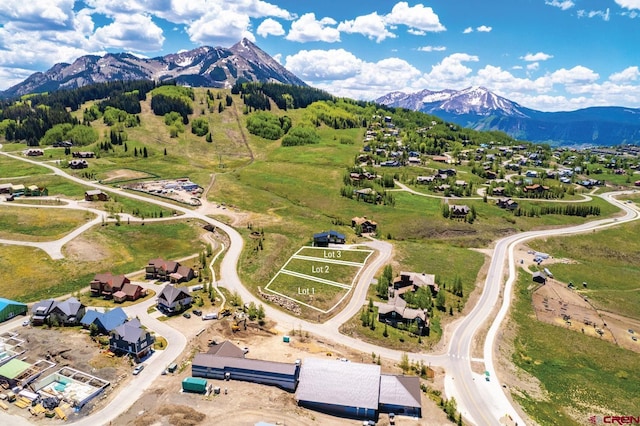 6 Lapis Ln, Mount Crested Butte, CO 81225