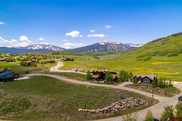 6 Lapis Ln, Mount Crested Butte, CO 81225