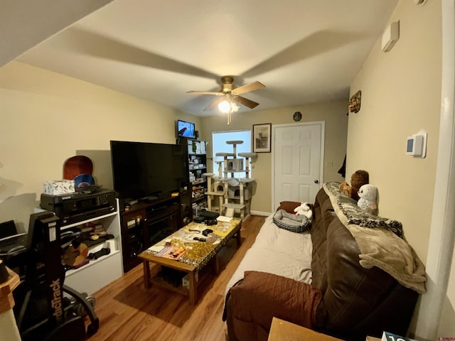 308 S 11th St Unit 1, Gunnison, CO 81230 - living room with light wood-style flooring and ceiling fan