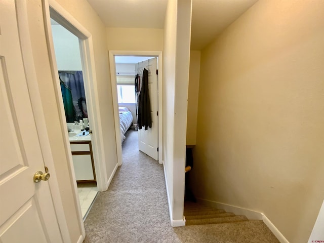 308 S 11th St Unit 1, Gunnison, CO 81230 - hallway with light carpet and baseboards