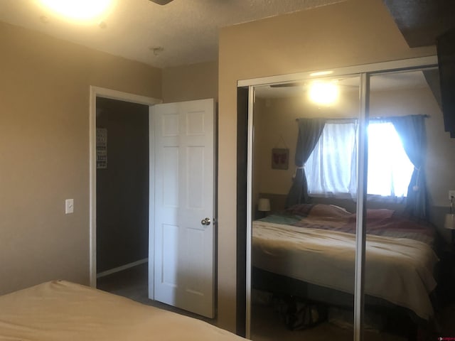 22 Lancer Ct, Pagosa Springs, CO 81147 - bedroom with a closet and carpet floors