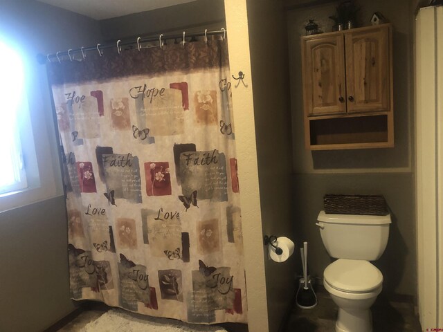 22 Lancer Ct, Pagosa Springs, CO 81147 - bathroom with toilet and curtained shower