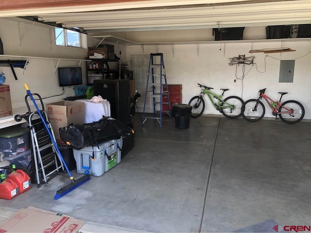 22 Lancer Ct, Pagosa Springs, CO 81147 - garage featuring electric panel