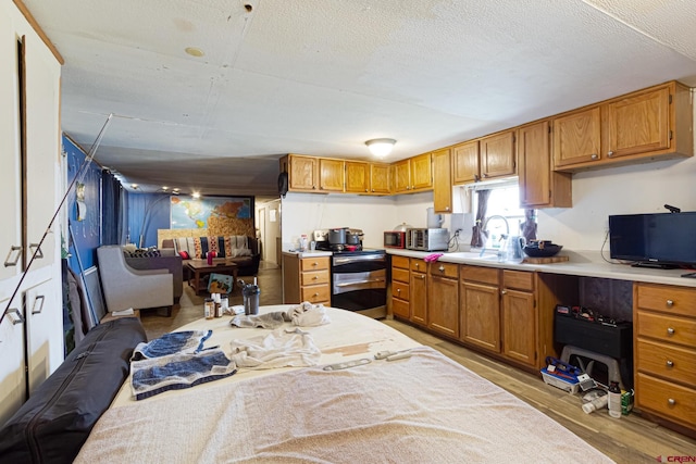 3268 E Rd Unit 1, Clifton, CO 81520 - kitchen featuring stainless steel range with electric cooktop, a sink, light countertops, brown cabinetry, and open floor plan