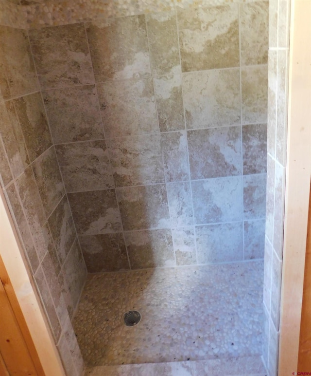 11787 Castle Rock Rd, Del Norte, CO 81132 - full bathroom with a tile shower