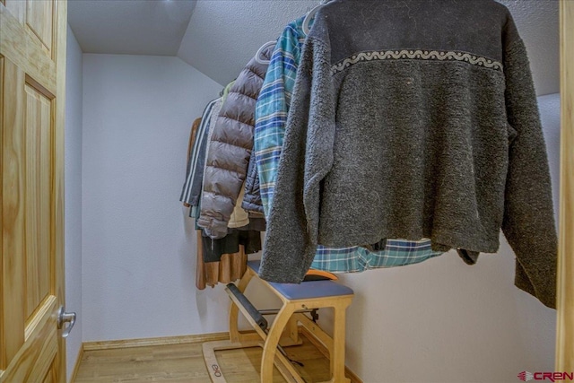 165 Twin Creek Cir, Pagosa Springs, CO 81147 - spacious closet with wood finished floors and lofted ceiling