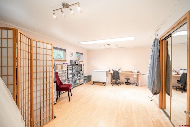 37 Verde Ln, Durango, CO 81301 - office area featuring wood finished floors, crown molding, and track lighting