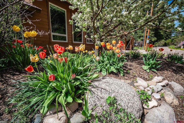 37 Verde Ln, Durango, CO 81301 - view of yard