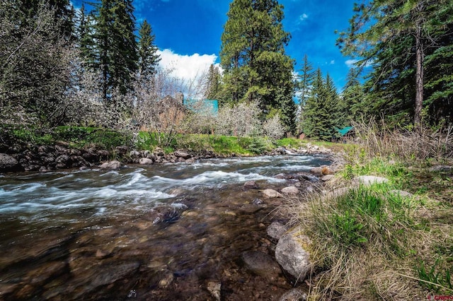 37 Verde Ln, Durango, CO 81301 - view of yard