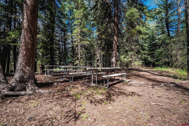 37 Verde Ln, Durango, CO 81301 - view of yard with a forest view