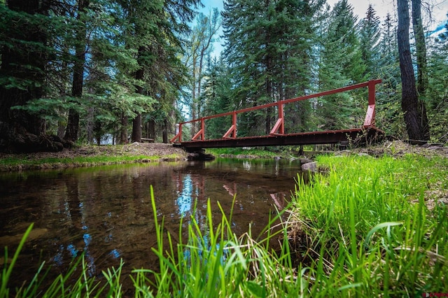 37 Verde Ln, Durango, CO 81301 - water view