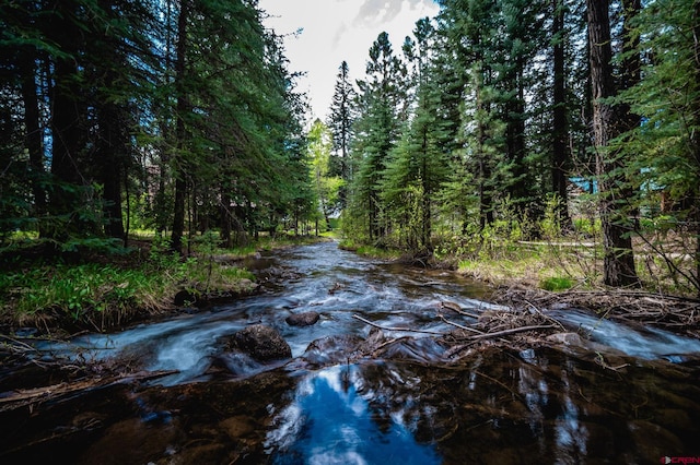 37 Verde Ln, Durango, CO 81301 - view of road