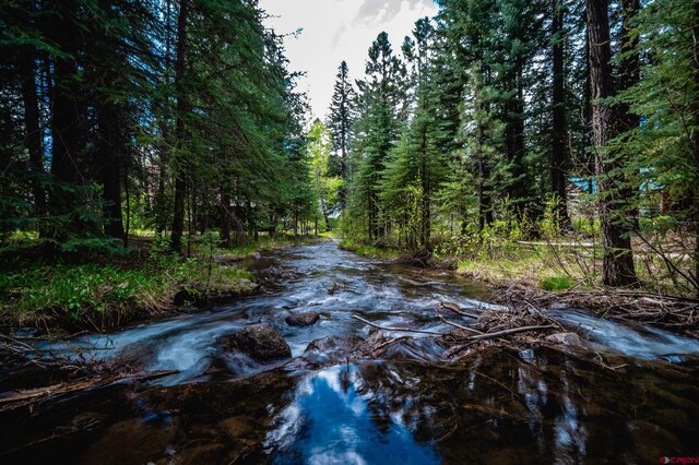 37 Verde Ln, Durango, CO 81301 - view of road