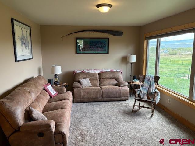 250 Pashuta Dr, Gunnison, CO 81230 - view of carpeted living area