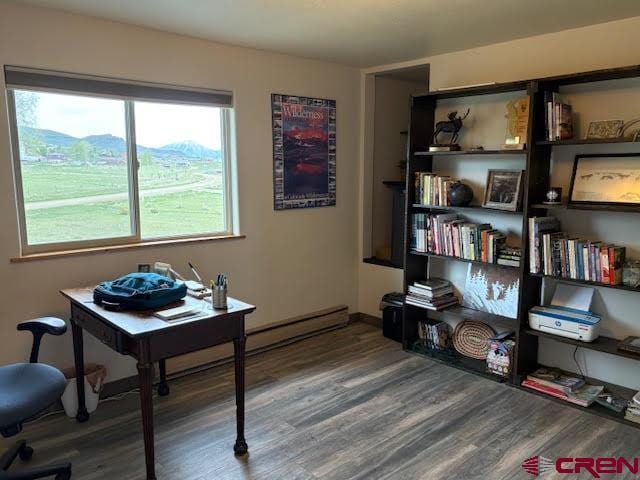 250 Pashuta Dr, Gunnison, CO 81230 - home office with wood finished floors