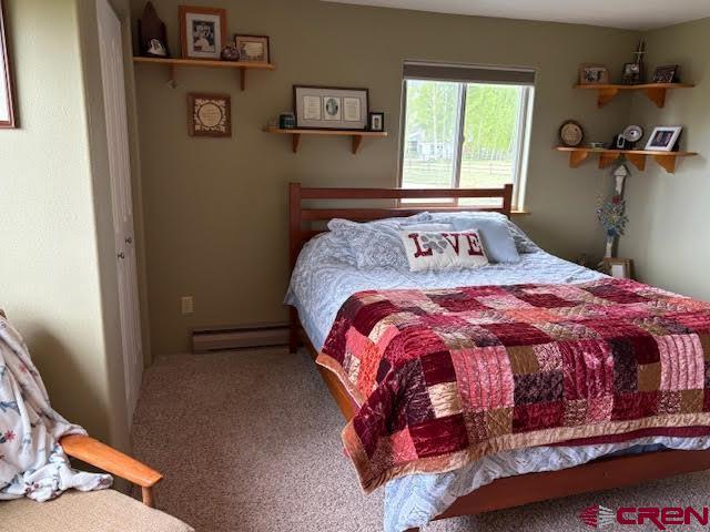 250 Pashuta Dr, Gunnison, CO 81230 - bedroom featuring a baseboard radiator and carpet